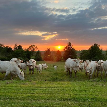 Studio Belle Perche Dans La Nature Landouzy-la-Cour Zewnętrze zdjęcie